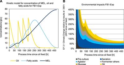 Life cycle assessment for early-stage process optimization of microbial biosurfactant production using kinetic models—a case study on mannosylerythritol lipids (MEL)